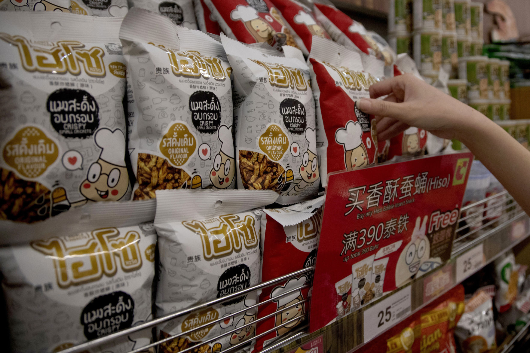 Thailand Insect Snacks